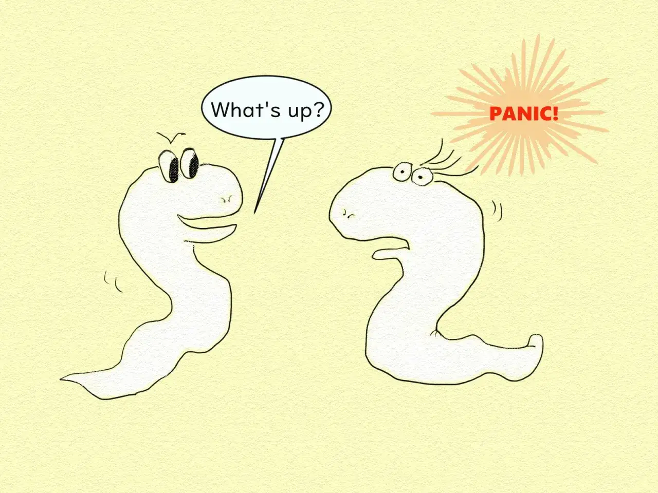 Skuteczna nauka języków: Przełam barierę i mów płynnie!