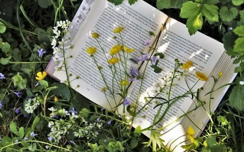 Najlepsze lekkie książki na wieczór: 6 relaksujących propozycji