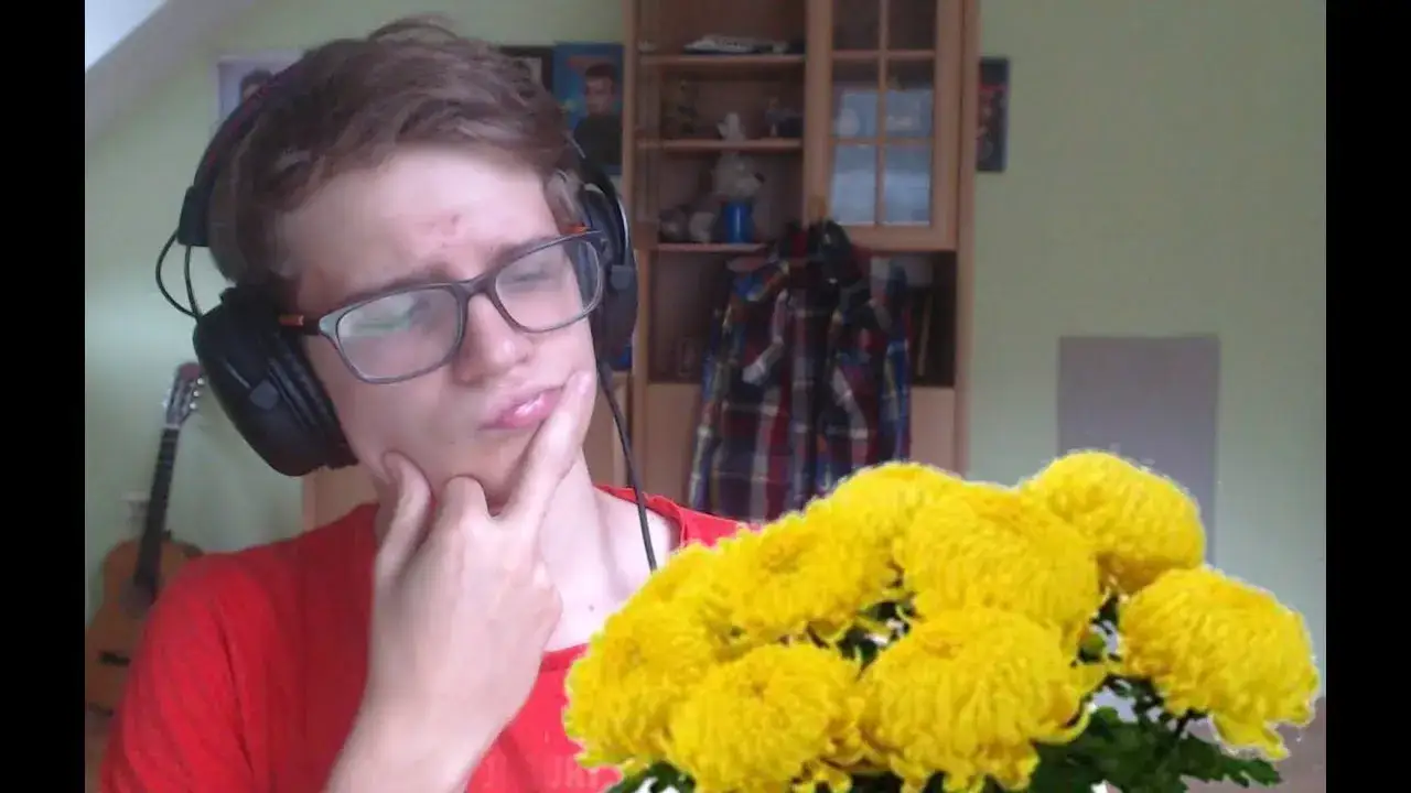 Chryzantemy złociste chwyty gitarowe – zagraj łatwo i szybko