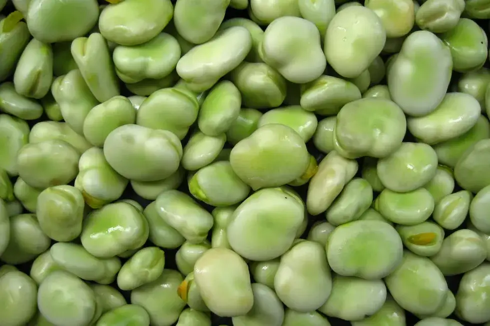 Sezon na bób: Kiedy kupić najlepszy i najtańszy?