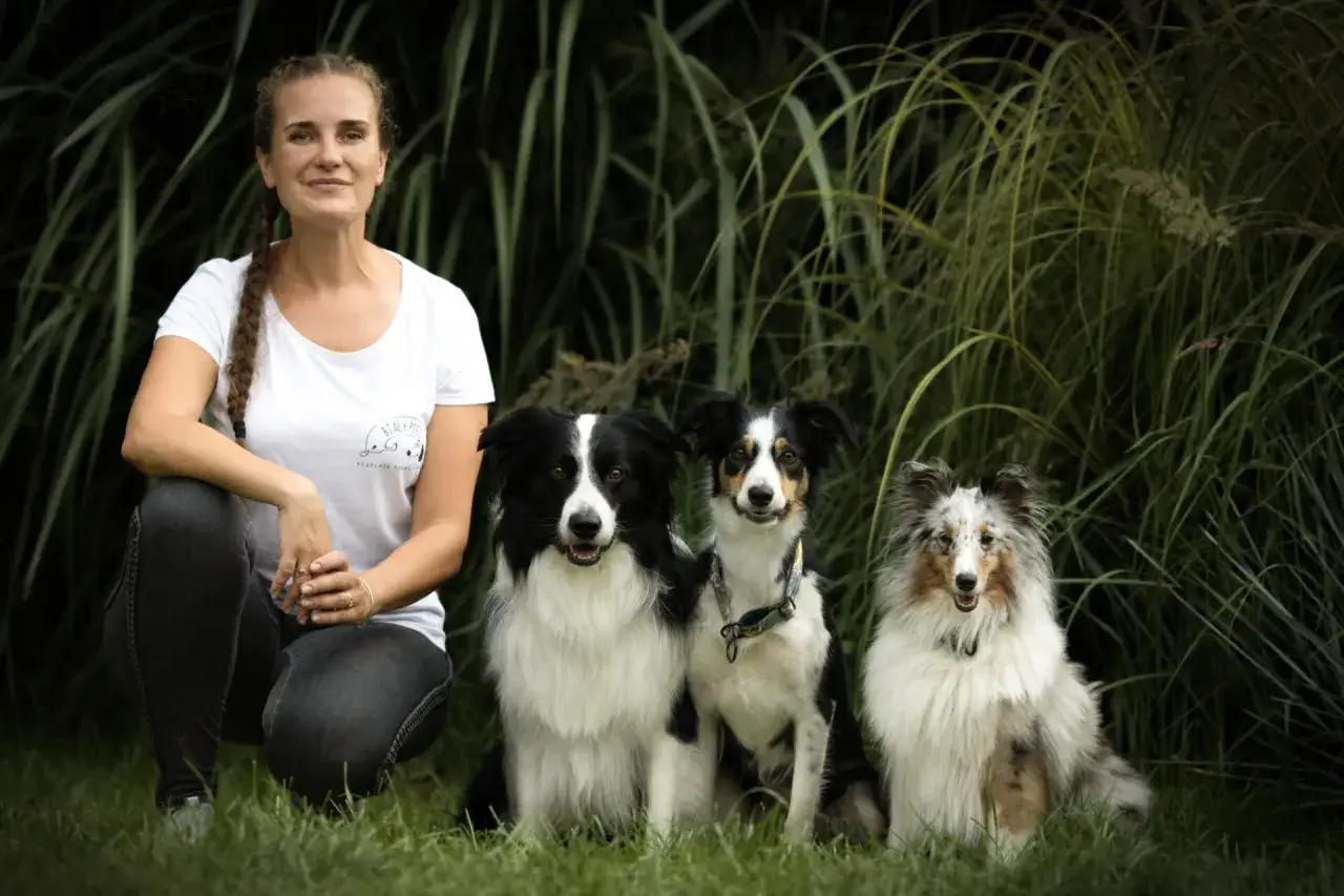 "Biały Kieł" recenzja. Odkryj, co wilk mówi o człowieku!