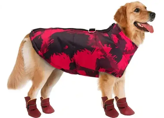 Uszyj buty dla psa krok po kroku: Poradnik DIY