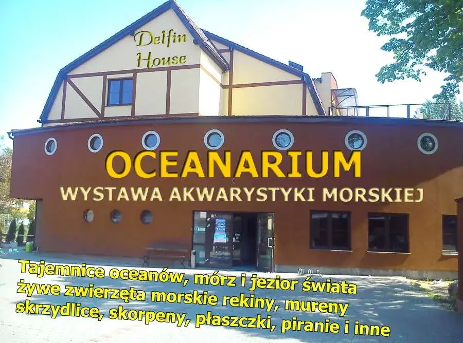 Oceanarium w Łebie: Ceny, atrakcje i czy warto je odwiedzić?