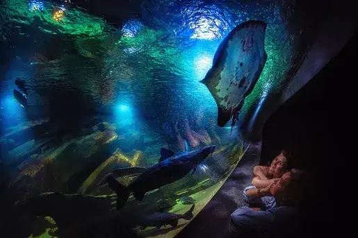 Oceanarium Zachodniopomorskie: Niezapomniane atrakcje i sekrety