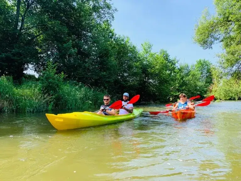 Spływ kajakowy Bałtów - odkryj malownicze trasy i wynajem kajaków