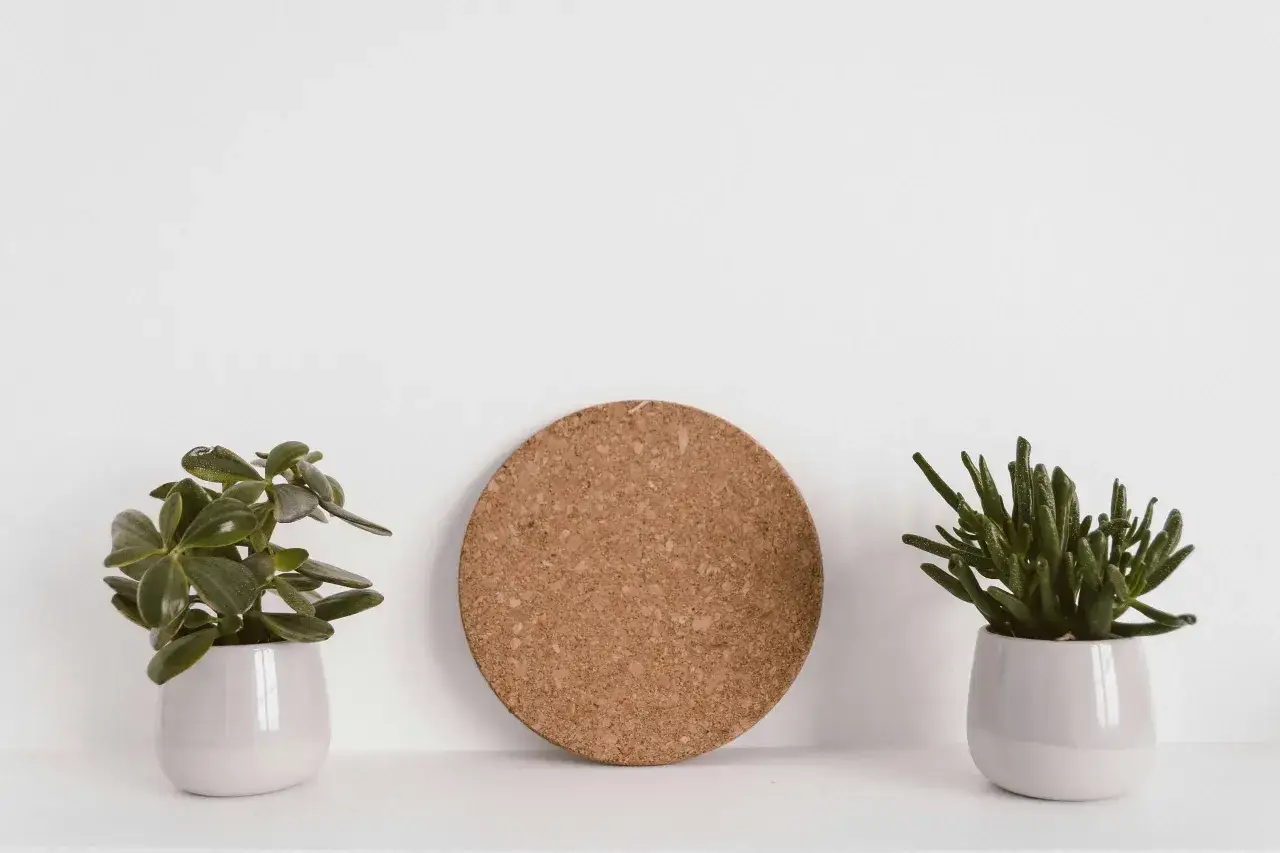 Czy można malować korek ścienny? Odkryj skuteczne metody i porady