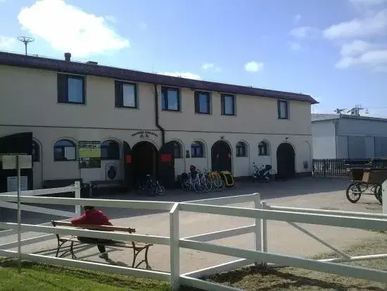 Stadnina koni Mikołów - najlepsze stajnie i usługi jeździeckie w regionie