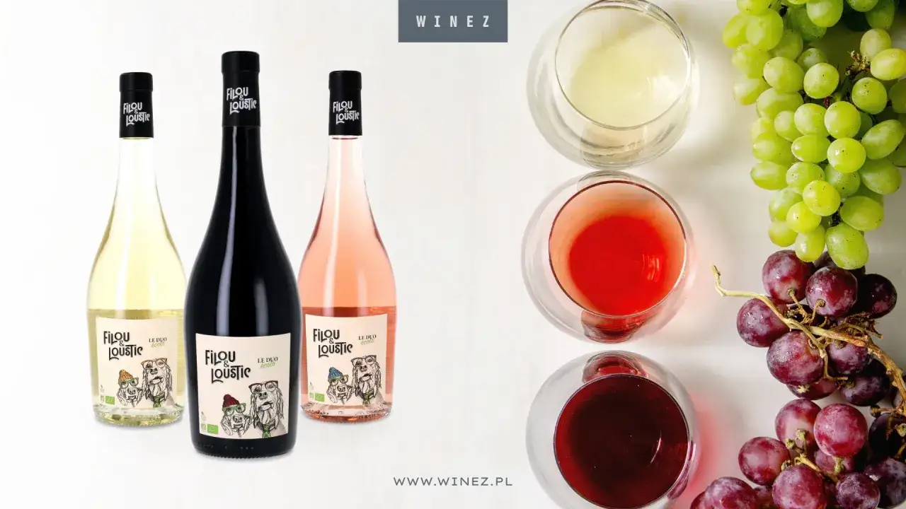 Wino wegańskie: Dlaczego zwykłe nie jest wegańskie? Sprawdź!