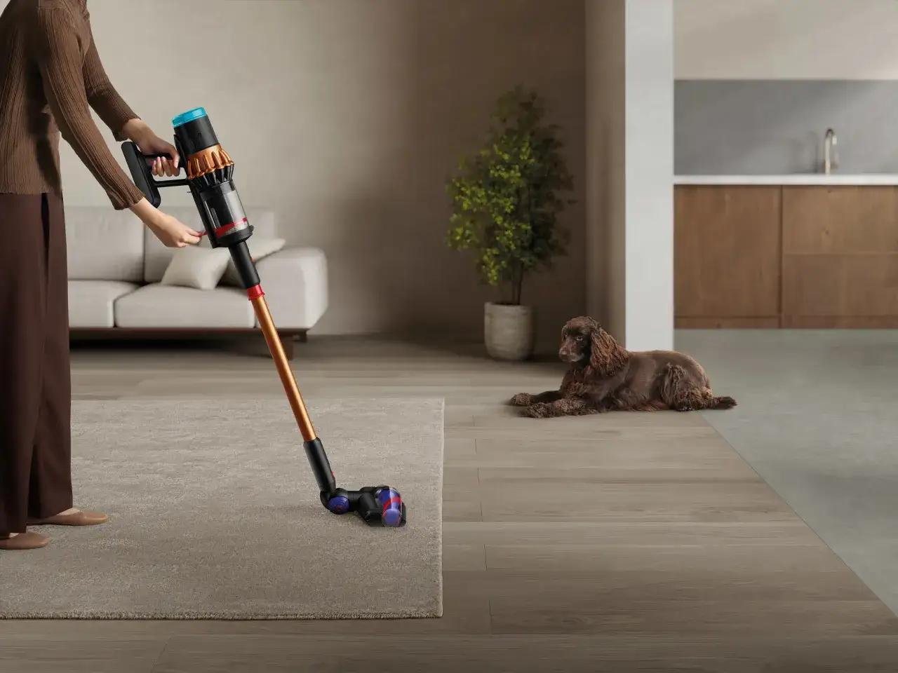 Dyson – co to za firma i dlaczego warto znać jej historię?