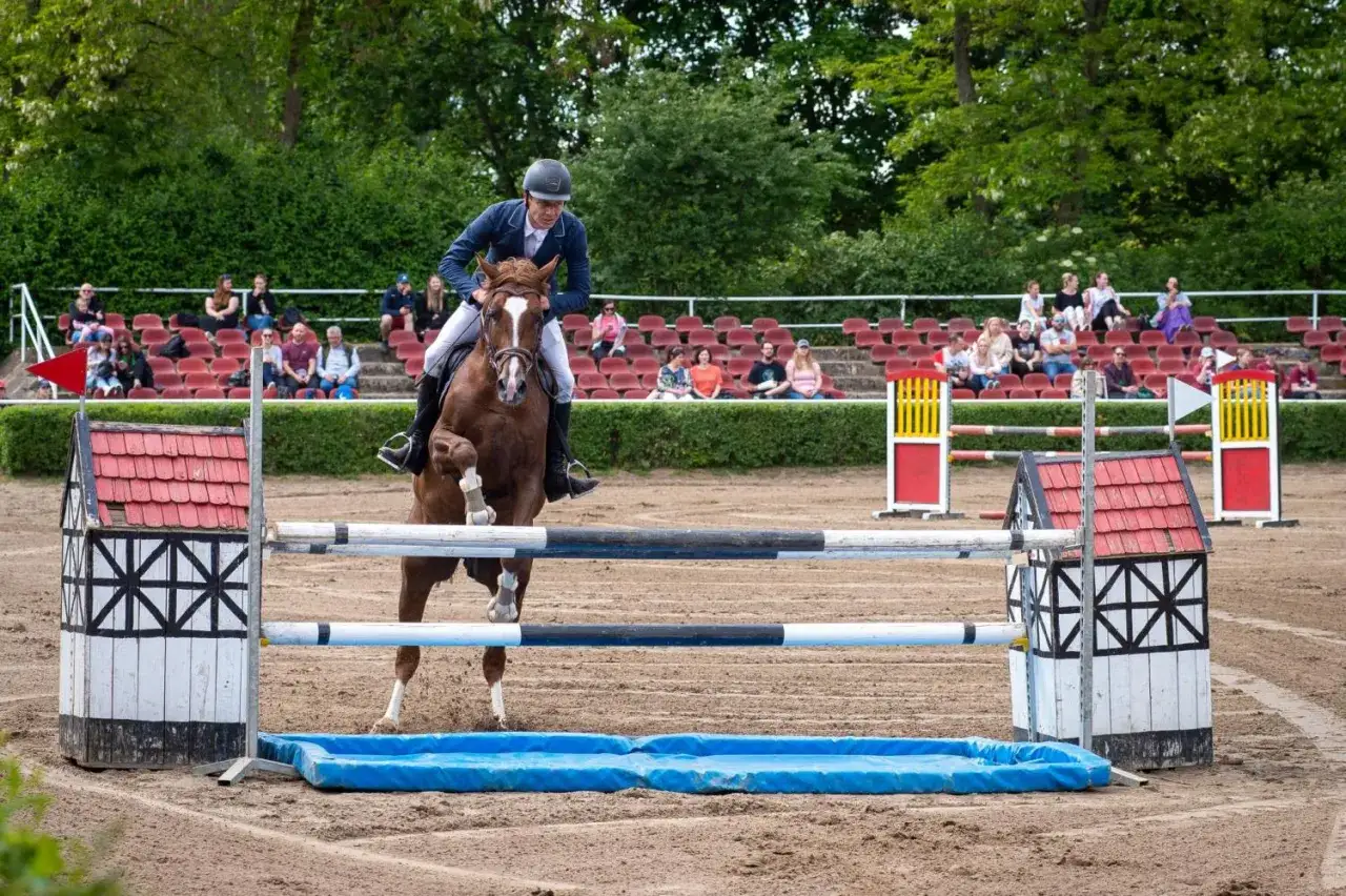 Katedra Hodowli Koni UWM Olsztyn: Czy to Twoja droga do sukcesu?