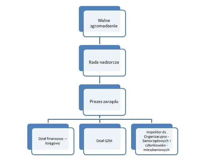 Ile zarabia członek rady nadzorczej spółdzielni mieszkaniowej? Fakty i różnice