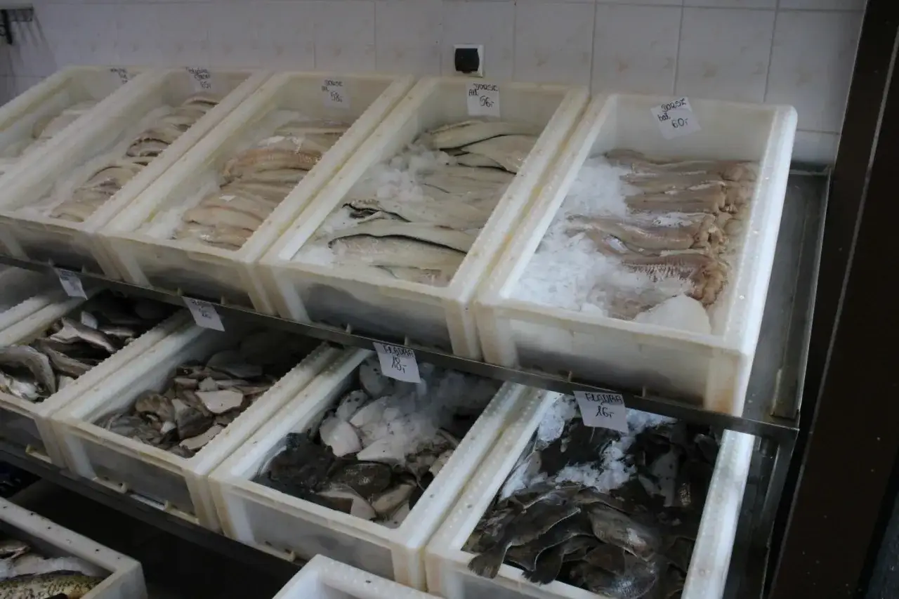 Gdzie kupić świeżą rybę w Kołobrzegu? Sprawdź najlepsze miejsca