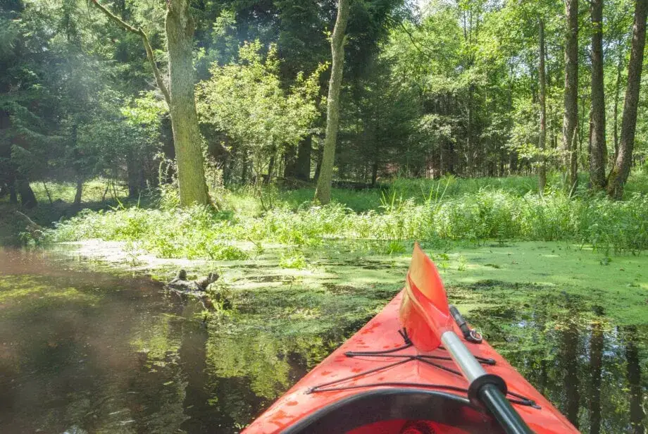 Koszty spływu kajakowego: Jak zaplanować budżet i nie przepłacić?