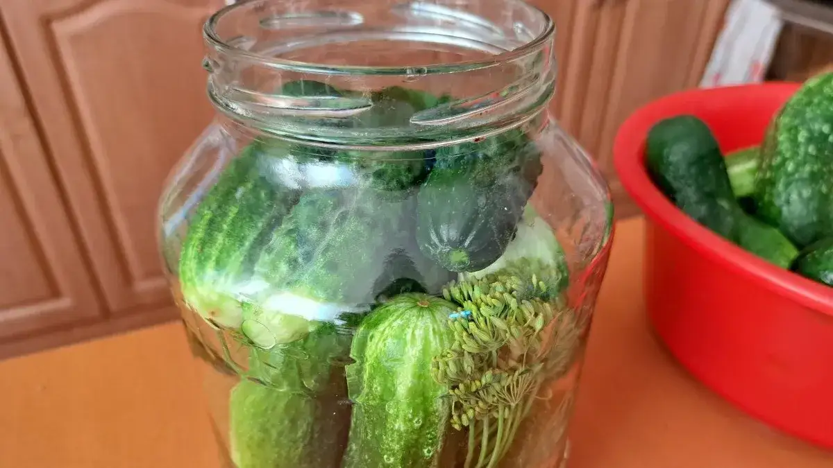 Czy ogórki kiszone tuczą? Odkryj ich wpływ na twoją dietę
