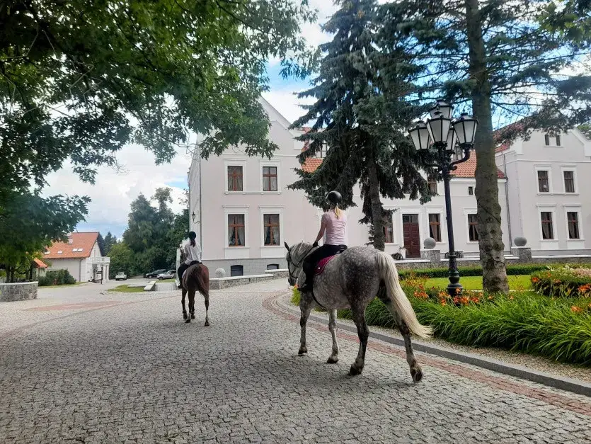 Najlepsze stadniny koni w Pomorskim - znajdź idealne miejsce dla siebie