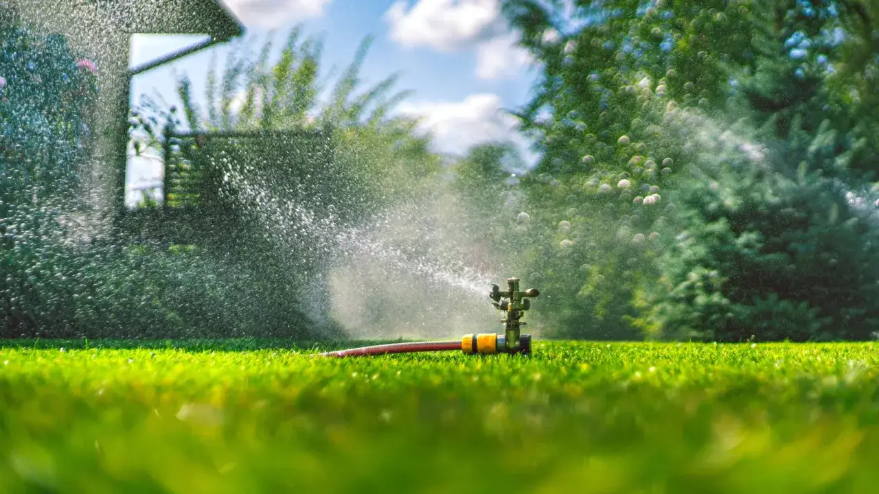 Jak długo podlewać trawnik? Precyzyjny czas dla zdrowej murawy