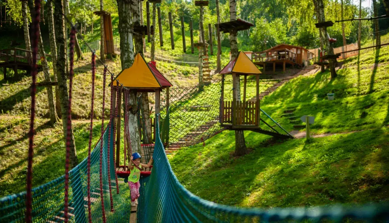 Park Linowy Górzno: Przewodnik po trasach i cenach. Planuj rodzinny wypad!