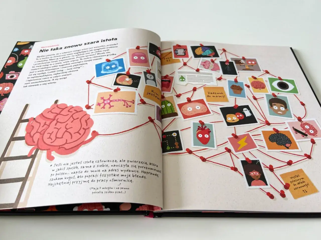 Recenzja książki jedenaście minut – co naprawdę myślą czytelnicy?