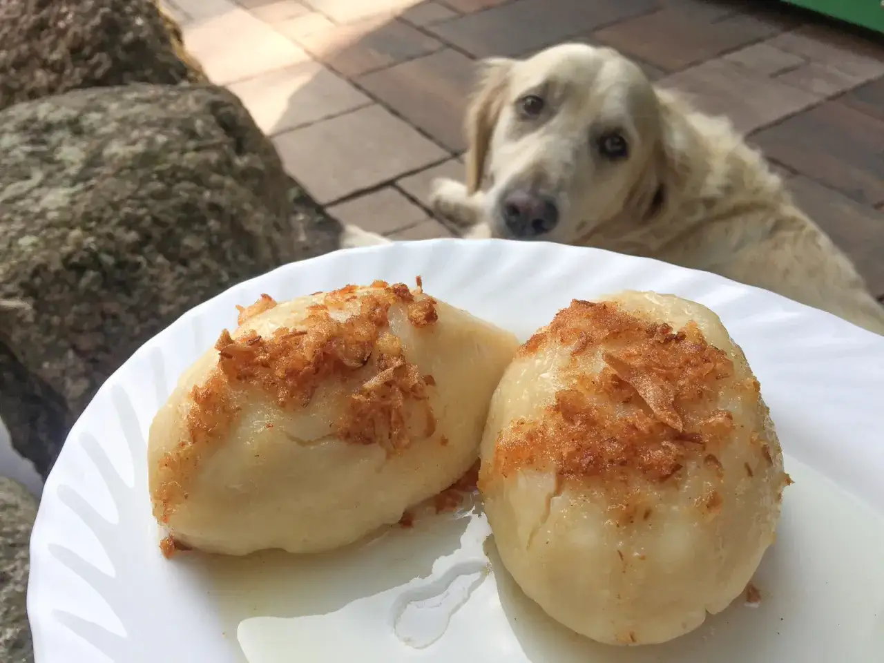 Gdzie zjeść kartacze? Najlepsze restauracje w Suwałkach i okolicy