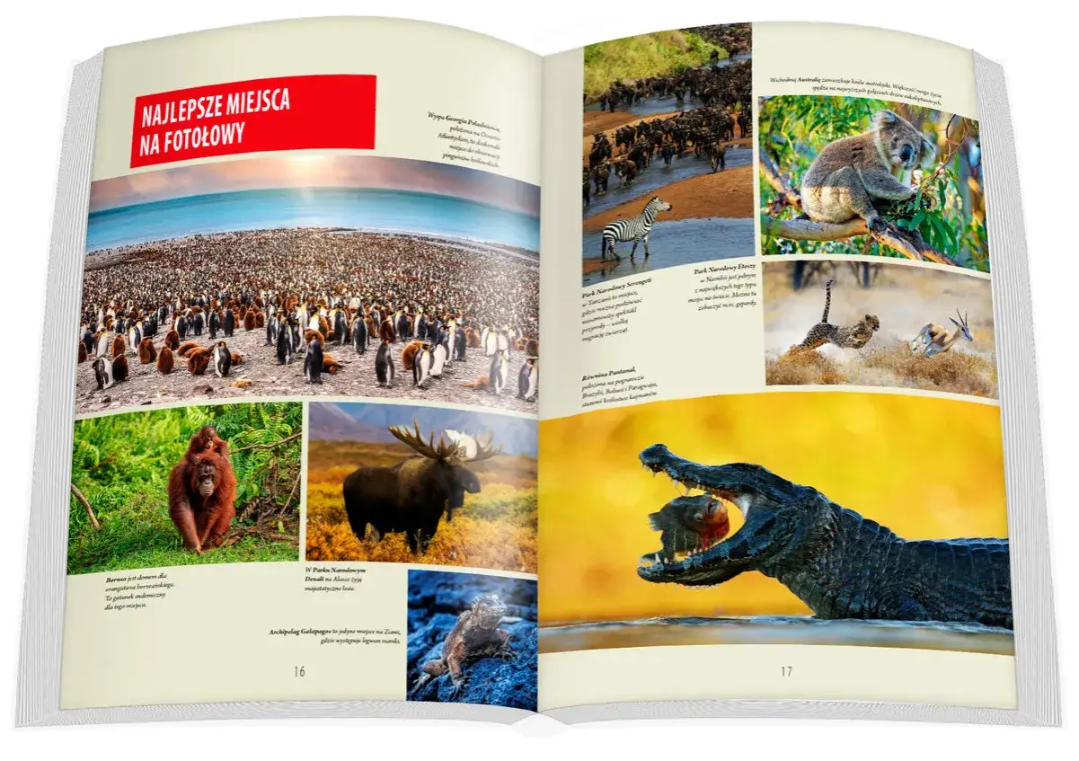 Najpiękniejsze miejsca na świecie książka – odkryj wyjątkowe tytuły