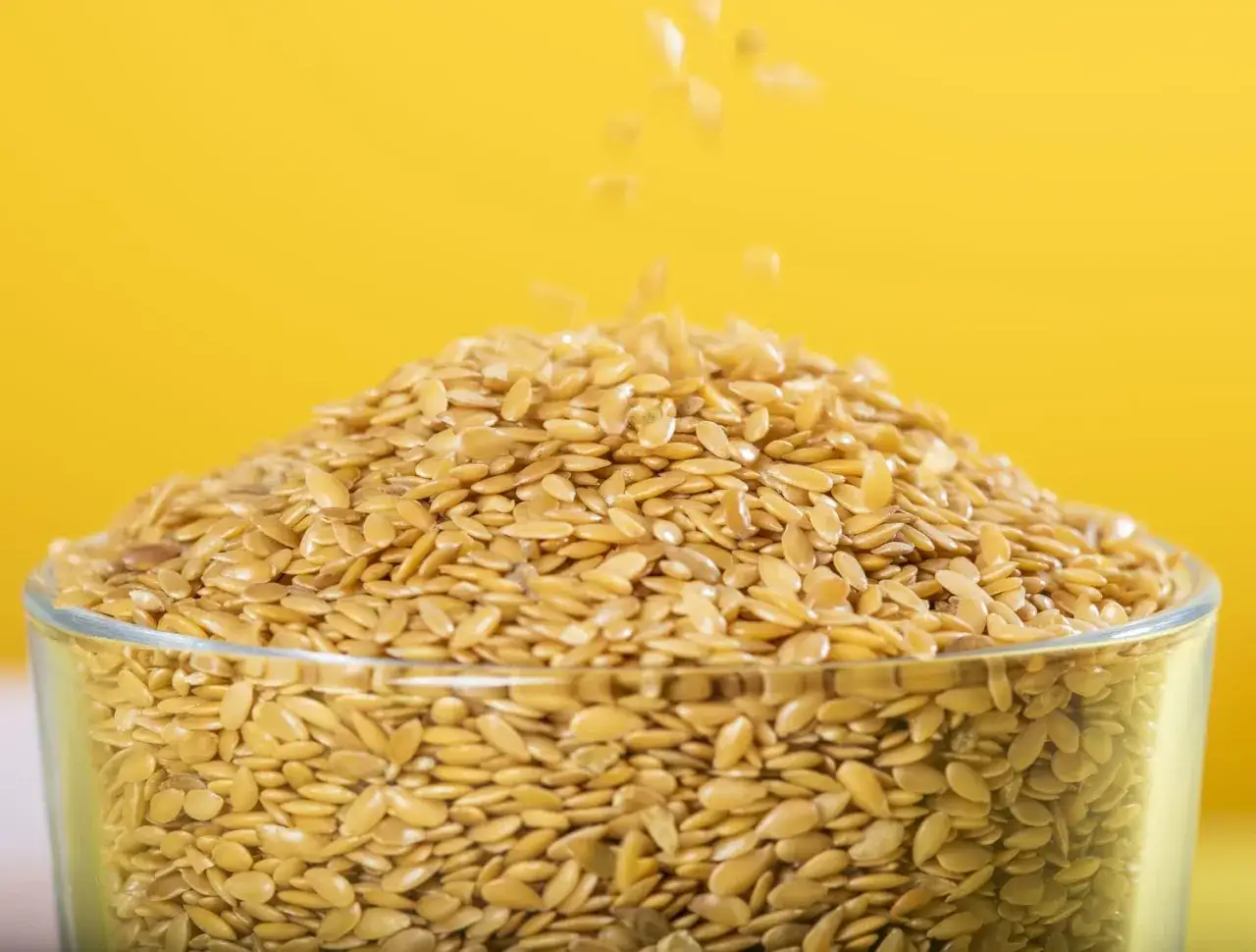 Siemię lniane dla psa - jak może poprawić zdrowie Twojego pupila