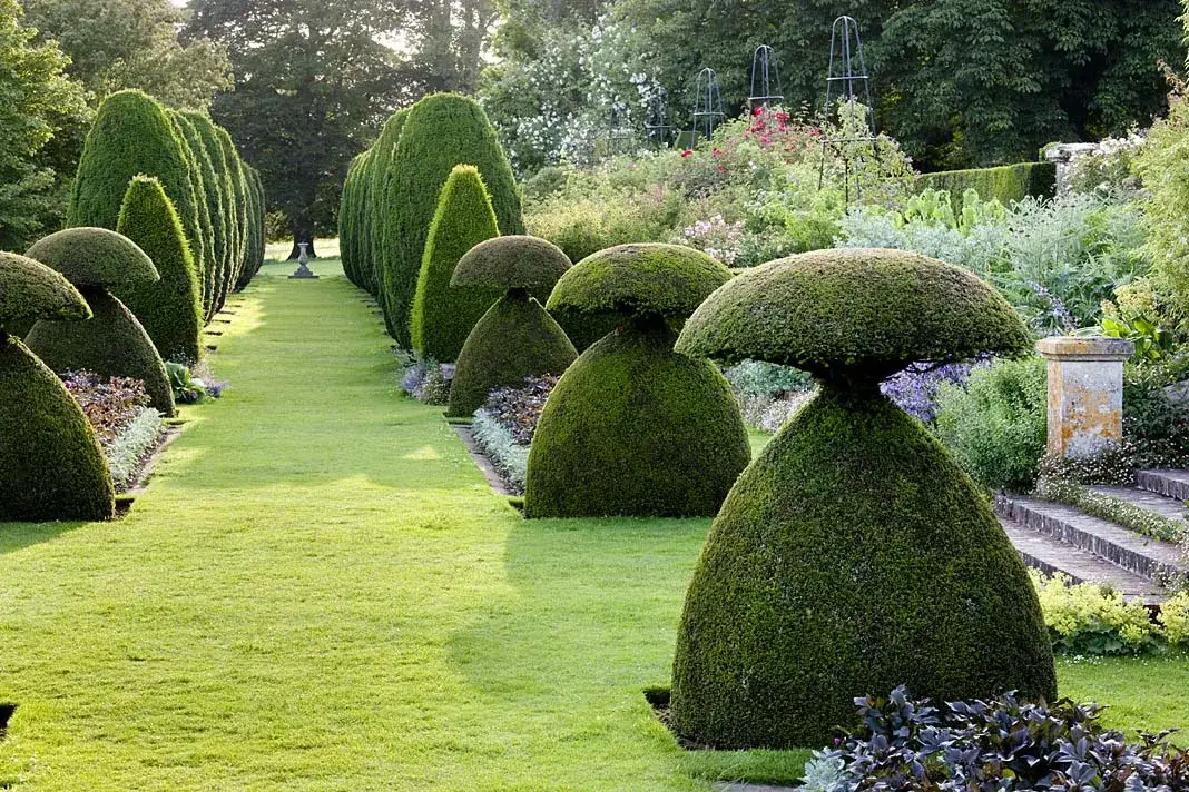 Rzeźby z roślin – jak stworzyć zachwycające topiary w ogrodzie