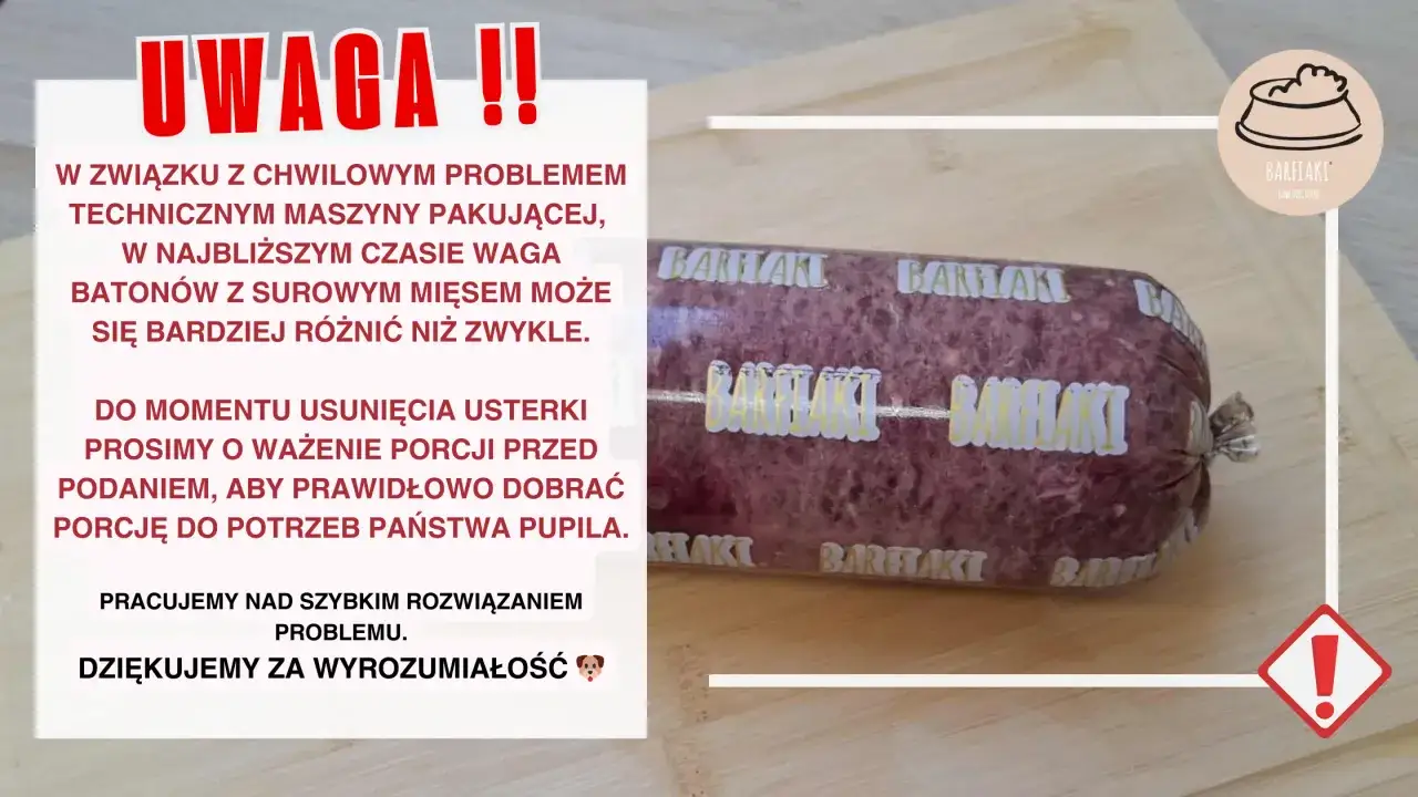 Surowe mięso dla kota: Czy to bezpieczne? Przewodnik BARF