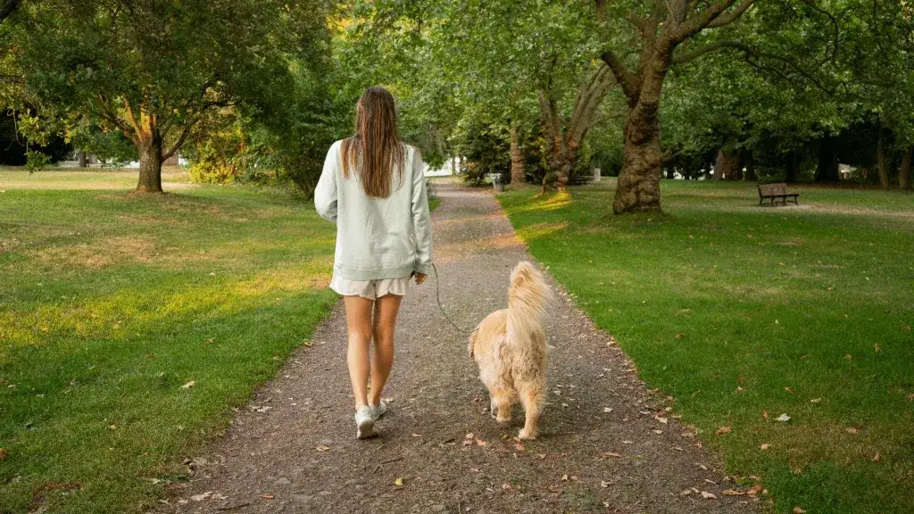 Najlepsze miejsca na spacer z psem koło Krakowa, które warto odwiedzić