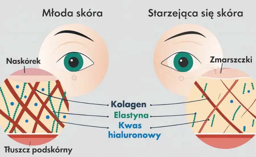 Niedobór kolagenu? Odkryj, co naprawdę działa na skórę i stawy