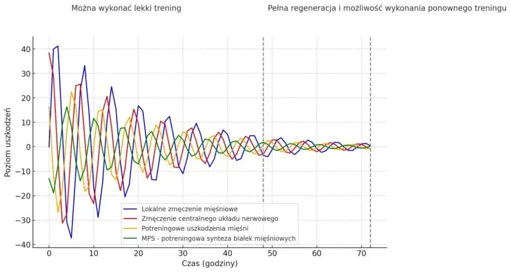 Ile dni w tygodniu ćwiczyć? Optymalna częstotliwość dla Ciebie