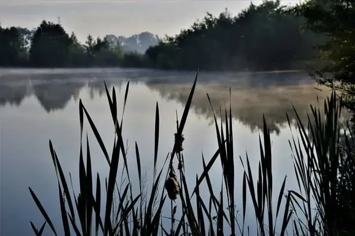 Łowisko Owczarnia - najlepsze miejsca na wędkowanie w Małopolsce