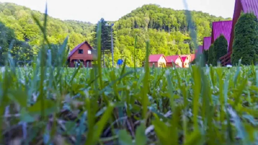 Bieszczady: Noclegi dopasowane do Ciebie. Góry, jezioro czy cisza?
