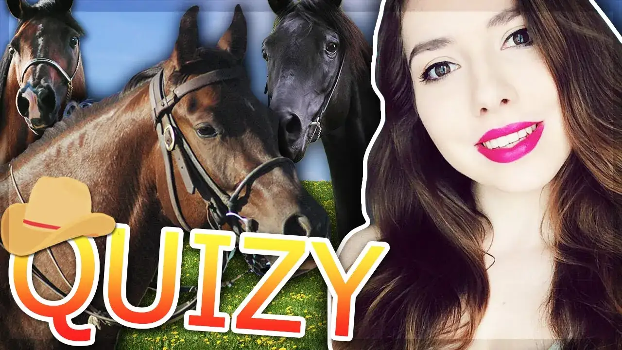 Trudne quizy o koniach na sameQuizy - co wolisz naprawdę?