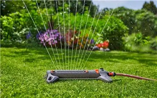 Jaki zraszacz na wąski trawnik? Wybierz najlepszy!