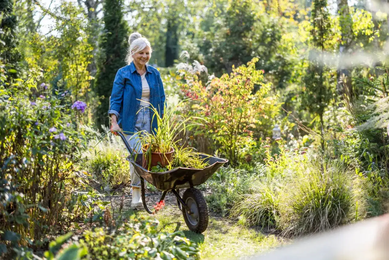 Altana na działce ROD: Co wolno, a czego nie? Pełny przewodnik!