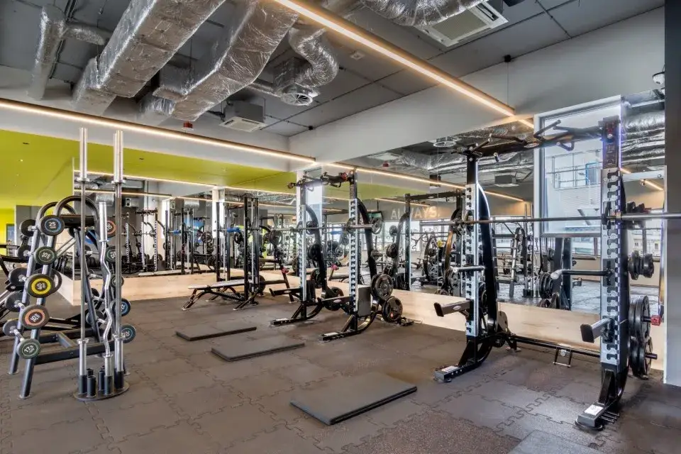 My Fitness Place Galeria Kazimierz: Siłownia, Cennik, Grafik | Kraków