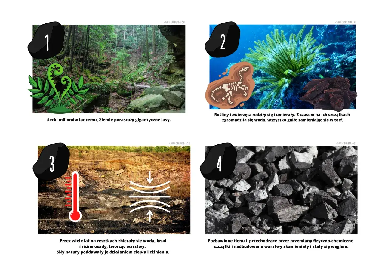 Jak powstał węgiel? Film i superopowieść dla małych odkrywców