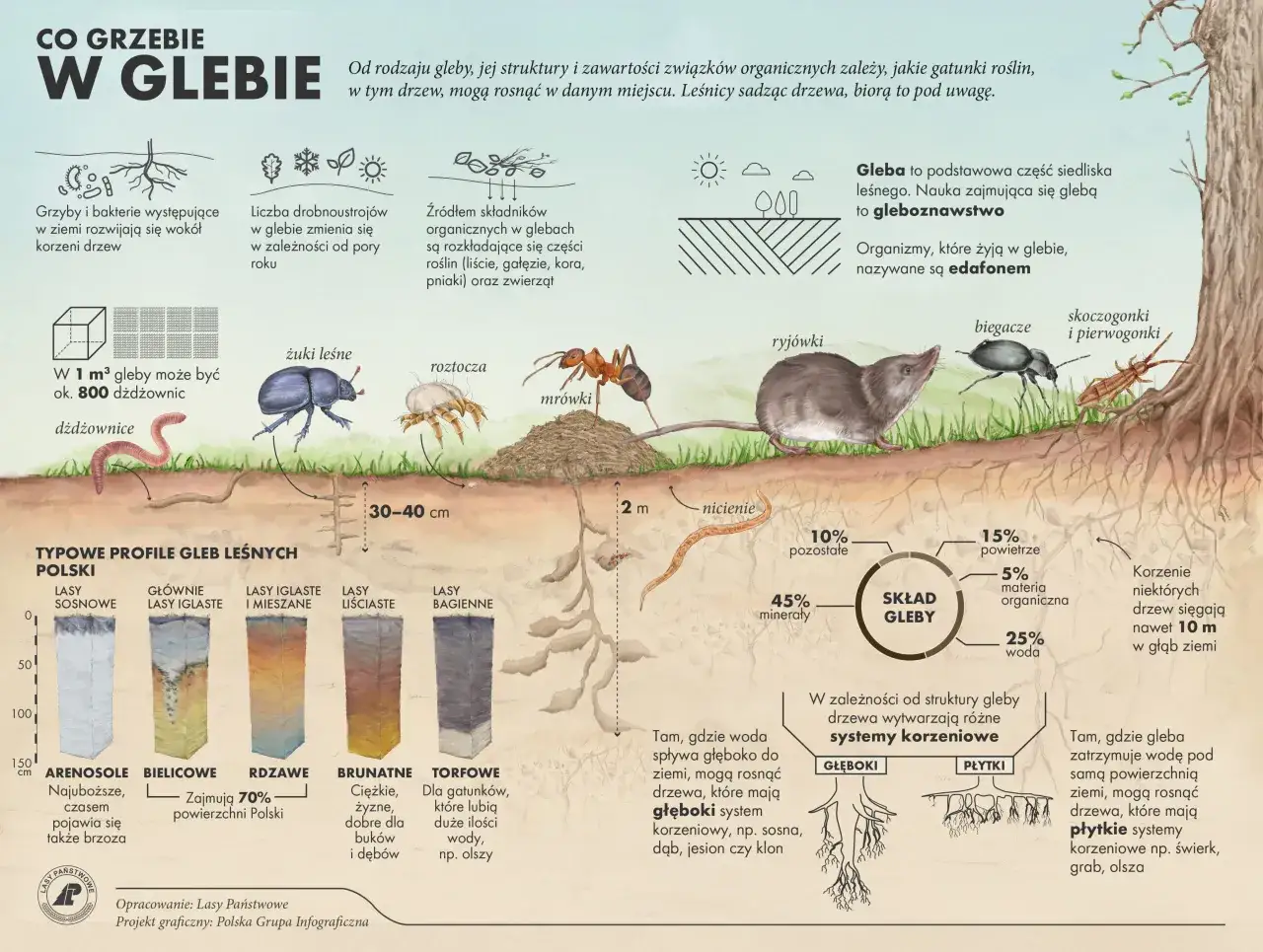 Gleba dla zwierząt: Dom, spiżarnia i schronienie. Odkryj jej rolę!