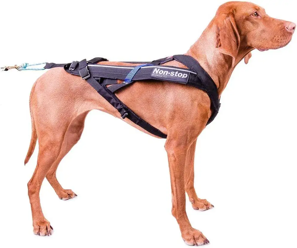 Szelki dla psa, który ciągnie na smyczy – skuteczne rozwiązania dla Ciebie