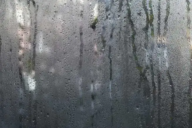 Wilgoć w aucie? Skuteczne sposoby na osuszenie i zapobieganie