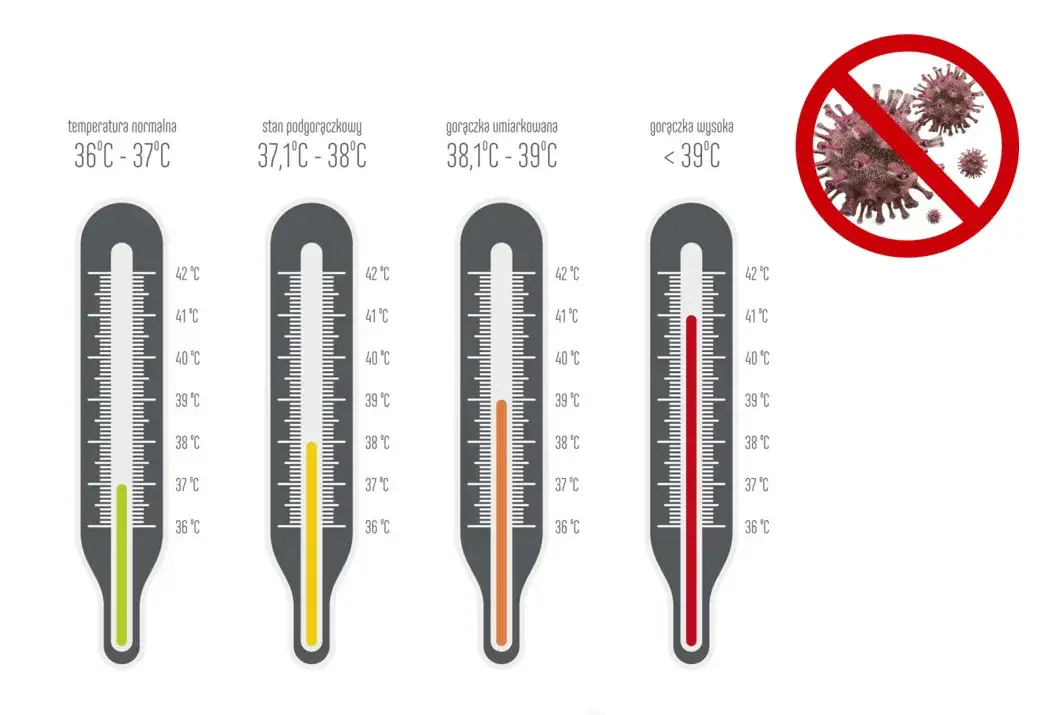 Odległości PL: Jak mierzyć i co warto wiedzieć o pomiarach?