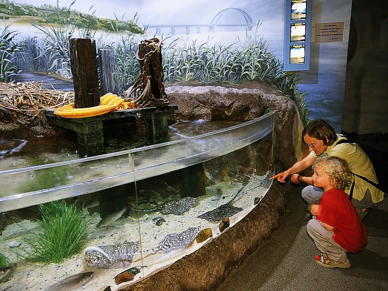 Timmendorfer Strand: Ihr kulinarischer Guide (Sterne, Fisch & Meerblick)