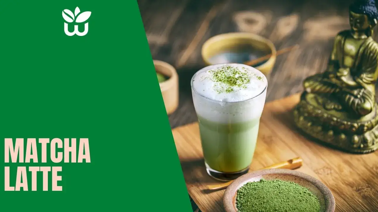 Matcha latte: Co to? Właściwości, przepis i jak zrobić idealną