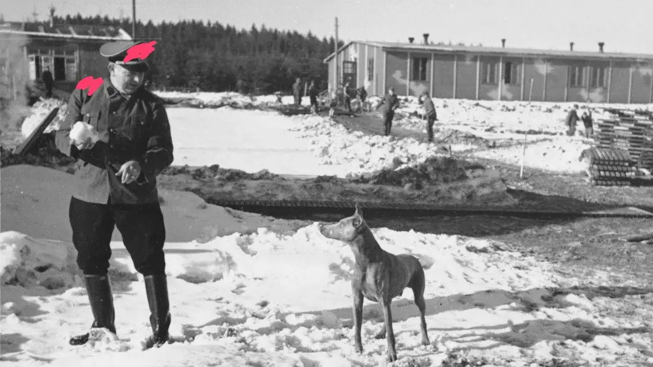 Czy do Auschwitz można wejść z psem? Sprawdź zakazy i zasady