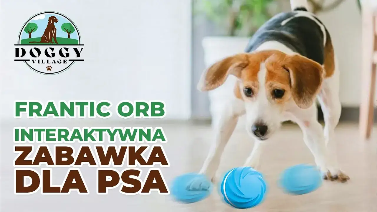 Inteligentna uciekająca zabawka dla psa i kota – radość i ruch w zabawie