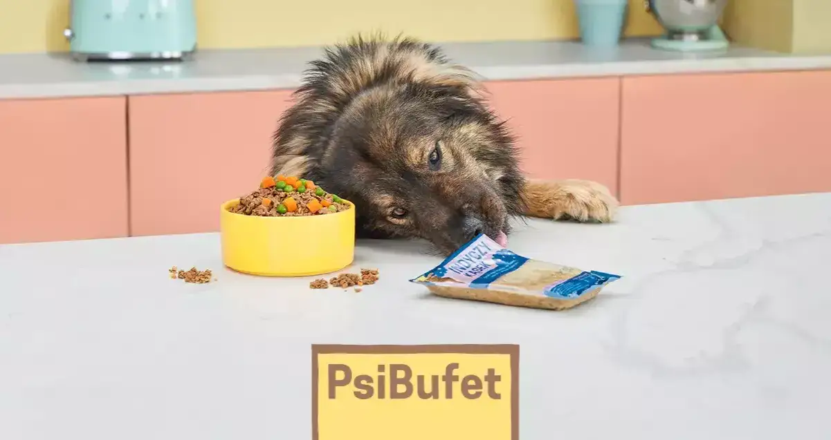 Czy pies może jeść kocie jedzenie? Poznaj ryzyka i konsekwencje