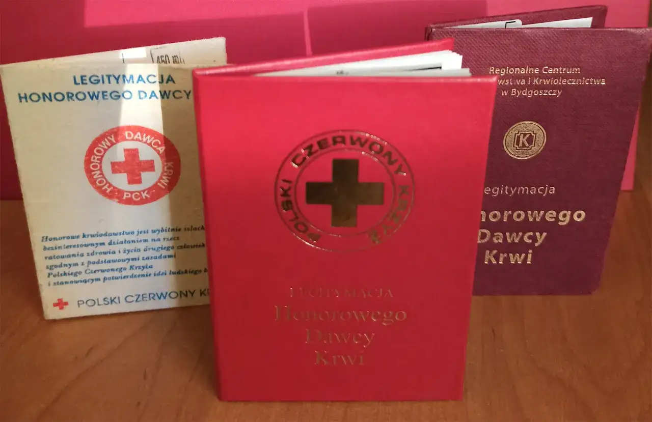 Legitymacja szkolna jako dowód tożsamości? Sprawdź, kiedy wystarczy