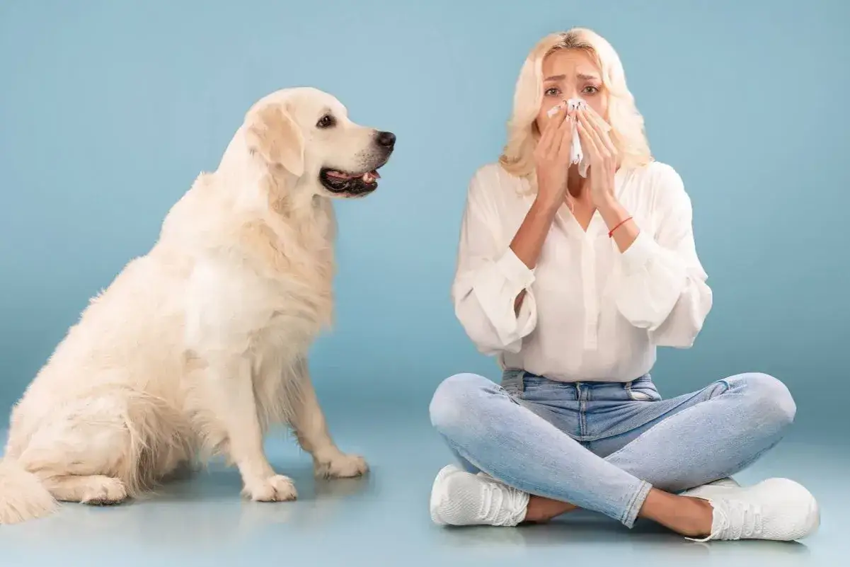 Alergia na zwierzęta: objawy skórne, co uczula i jak sobie radzić?