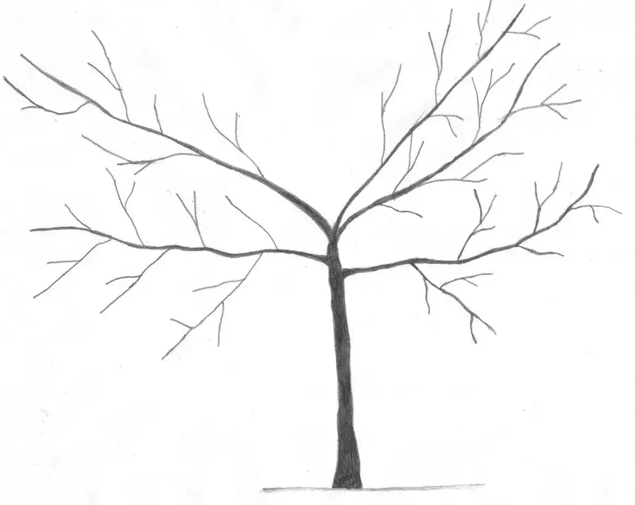 Jak przycinać śliwy zdjęcia - uniknij najczęstszych błędów w cięciu