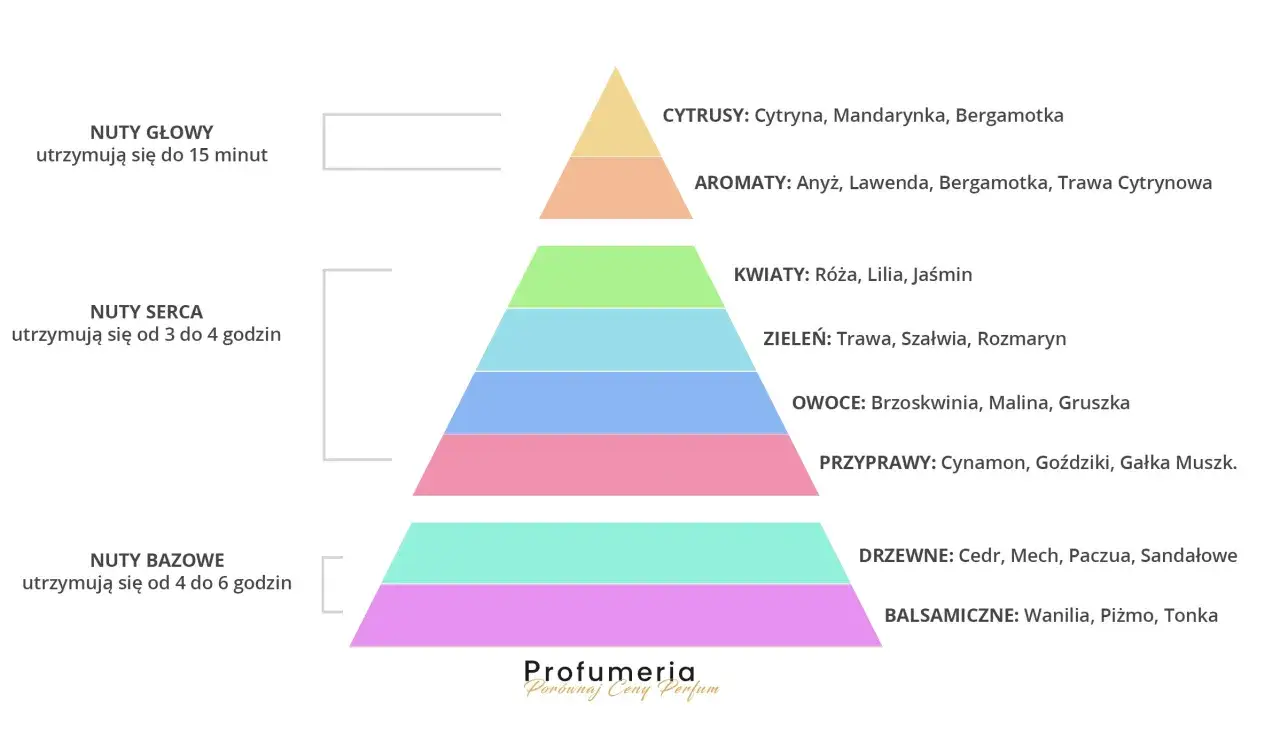 Piramide zapachowa perfum: nuty głowy (cytrusy, aromaty), nuty serca (kwiaty, zieleń, owoce, przyprawy) i nuty bazowe (drzewne, balsamiczne).